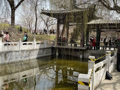 -桃花堤公园