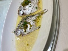 -骏莱海鲜鱼港(五角场店)
