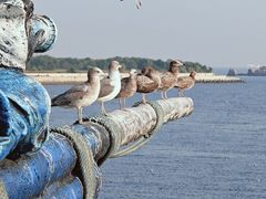 -大连老虎滩海洋公园