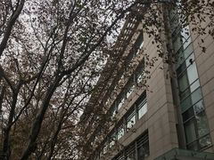 -上海交通大学医学院附属瑞金医院(总院)