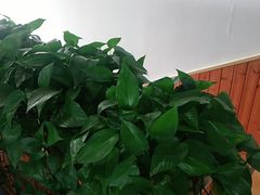 -港畔赶海蒸汽海鲜烧烤自助(仙螺岛店)