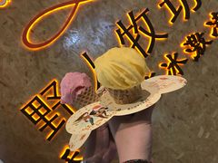-野人牧坊Gelato(天津南开大悦城店)