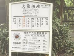 -深圳野生动物园