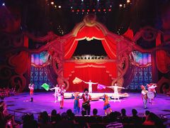 -珠海横琴长隆《卡卡虎奇遇记》