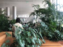 -Seesaw Coffee(朝阳大悦城店)