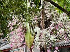 -深圳国际园林花卉博览园