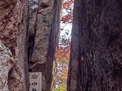 -五女峰国家森林公园