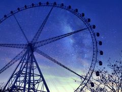 -锦江乐园舞狸花花游园会(夜场专享)