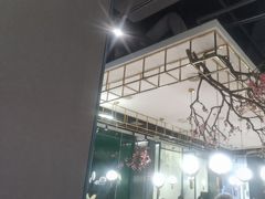 -老板恋上鱼(振华商厦店)