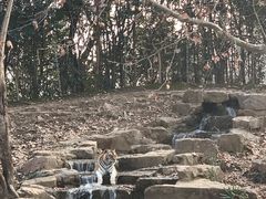 -扬州市茱萸湾风景区
