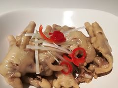 -三号黄浦会Canton Table