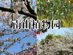 -南山植物园