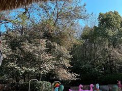 -天目湖涵田半山温泉