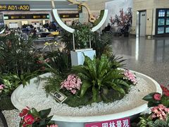 -重庆江北国际机场-T2航站楼