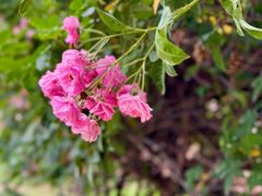 -人民公园(罗湖区)