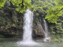 -龙苍沟森林公园