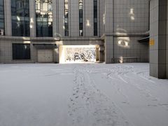 -哈工程图书馆