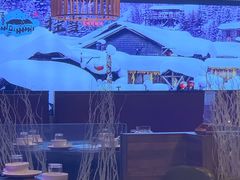 -挂雪铁锅炖大鹅