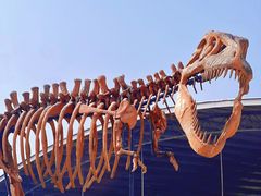 -美心红酒小镇游乐园