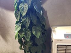 -如轩·海鲜砂锅粥·潮汕菜(沿江东路店)