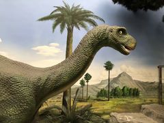 -国家自然博物馆