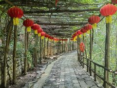 -井塘古村