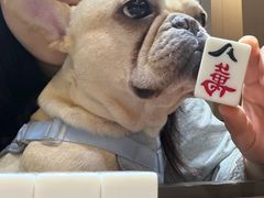 -关爱宠物医院·猫科中心·消化科(滨湖万达分院)