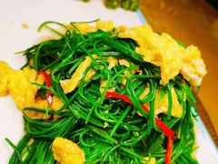 -敦煌楼(御景·阳光润园店)