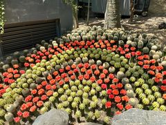 -南山植物园