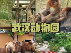 -武汉动物园