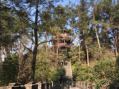-梦姑塘文化公园