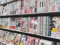 -秋叶原电器街