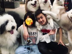 -TrueLove @ Neverland (Husky Cafe)
