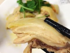 白斩鸡-泰煌鸡·上海白斩鸡·鸡汤面(万航店)
