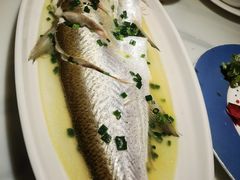 招牌清蒸钱塘江白条-柳莺湖上·湖景餐厅·江南菜(西湖店)