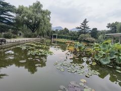 -国家植物园南园