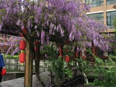 -遂昌金矿国家矿山公园