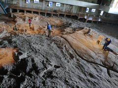 -自贡恐龙博物馆