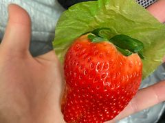 -罗森尼娜(解放西路店)