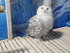 -成都浩海立方海洋公园