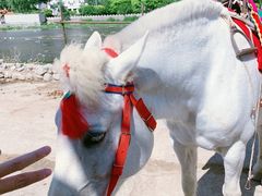 -野三坡清泉山风景区