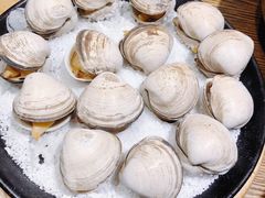 黄蚬子-鑫釜山海鲜烧烤(鑫丰国际店)