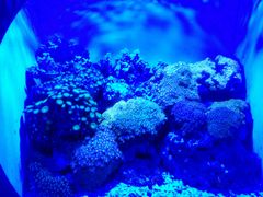 -洛阳龙门海洋馆