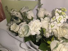 -极动室内恒温游泳馆