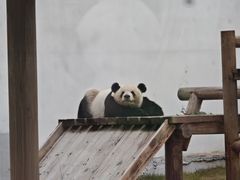 -无锡动物园·太湖欢乐园