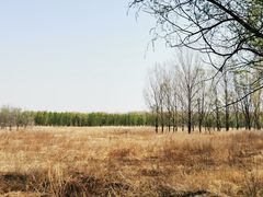 -东郊湿地公园