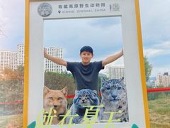 -青藏高原野生动物园