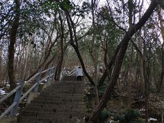 -紫金山山顶公园