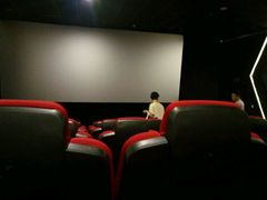 -汇金缪斯影城(八佰伴店)