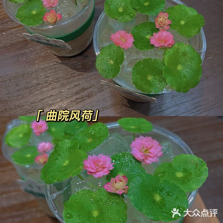 喝一杯曲院风荷，弹一首西湖美景